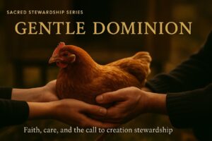 Hands gently cradle a red hen in warm golden light, symbolizing sacred stewardship, faith-driven animal care, and Proverbs 12:10 in action.