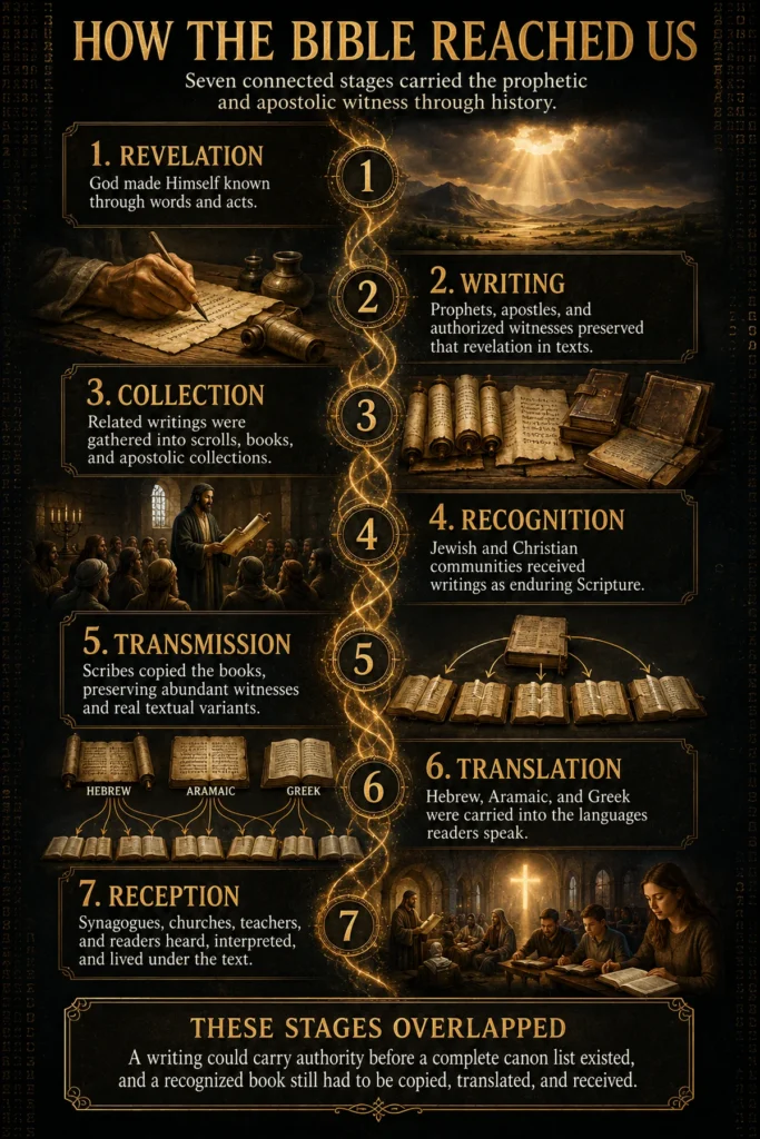 Seven-stage infographic showing how the Bible reached us through revelation, writing, collection, recognition, transmission, translation, and reception.