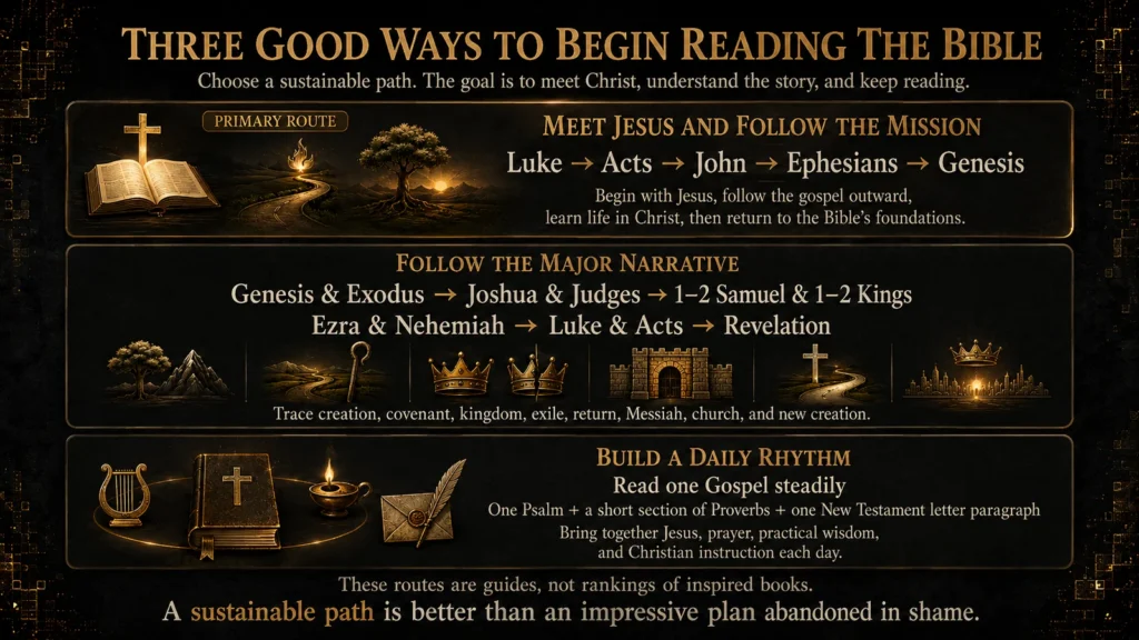 Infographic showing three beginner Bible reading paths: meeting Jesus and following the mission, following the major biblical narrative, and building a daily reading rhythm.